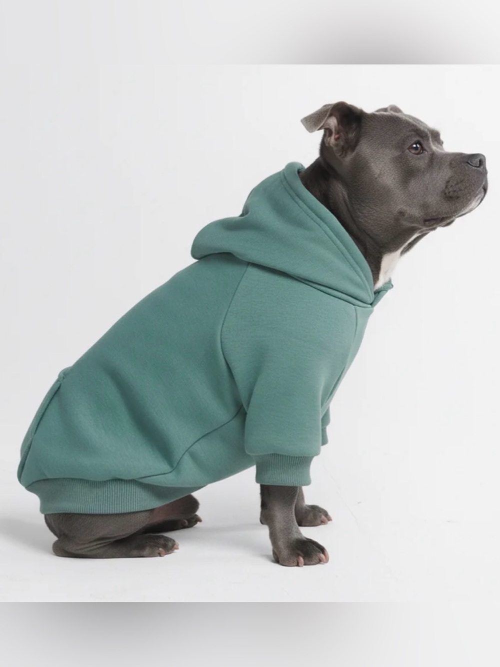 Spark Paws Dog Hoodie Sage Green Fleece Sweatshirt NWOT